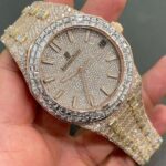 Iced Out VVS Moissanite Diamond AP Audemars Piguet Bust Down Luxury Watch (Pass Diamond Tester)